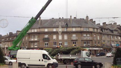 Installation du grand sapin