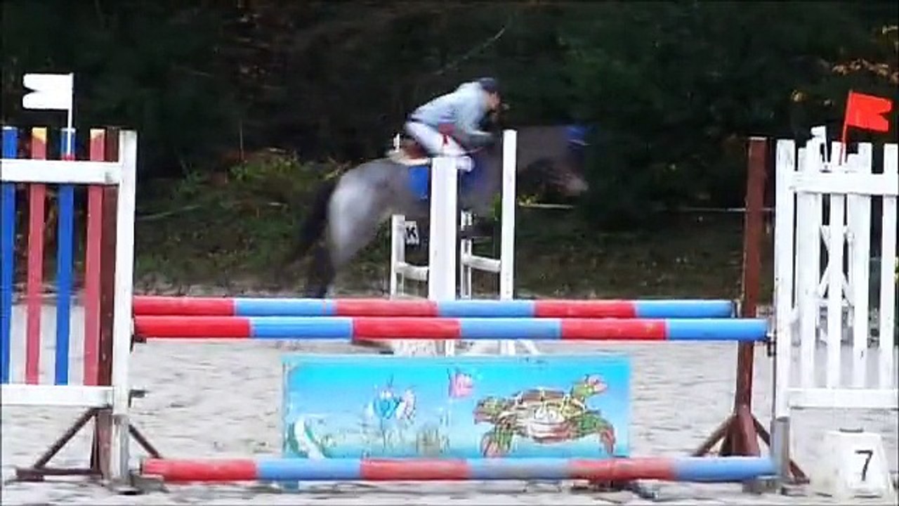 Charlie Con, Lothéa 23/11/2014, préparatoire 90 cm