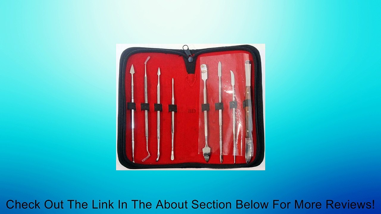 BDEALS 8pcs Spatula & Chisel Dental Picks Review