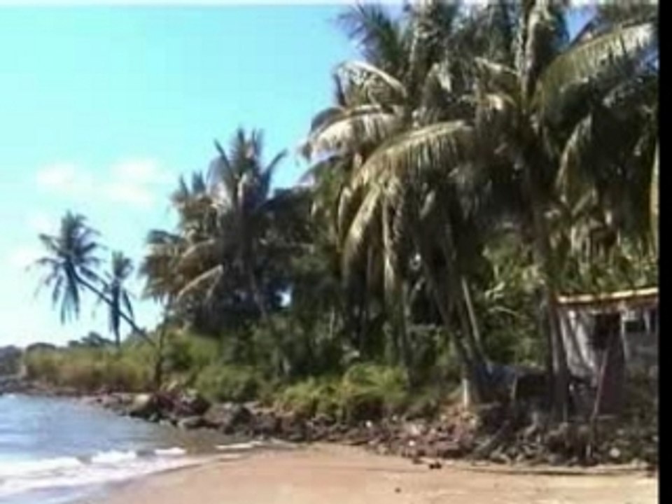 Tsy fanahiniako RACHID