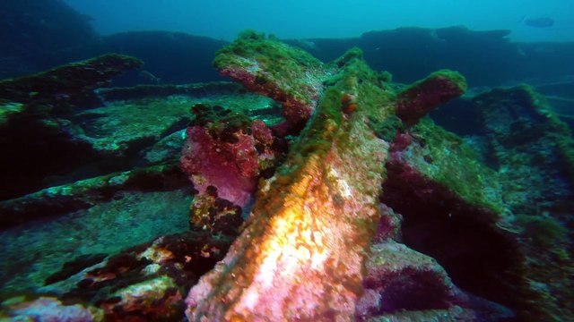plongée sur le liban,épave de marseille.