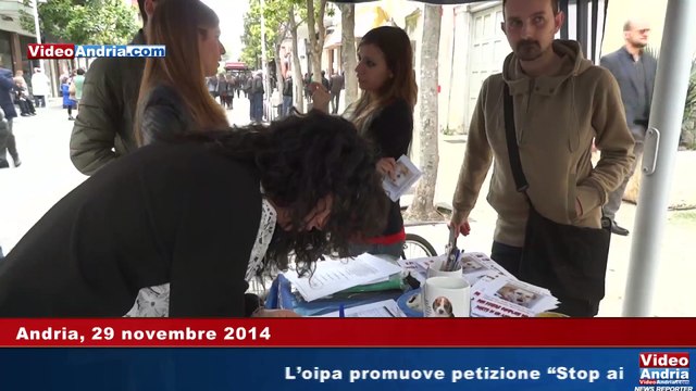 Stop ai botti di Capodanno, troppo rischiosi : raccolta firme ad Andria promossa dall'Oipa