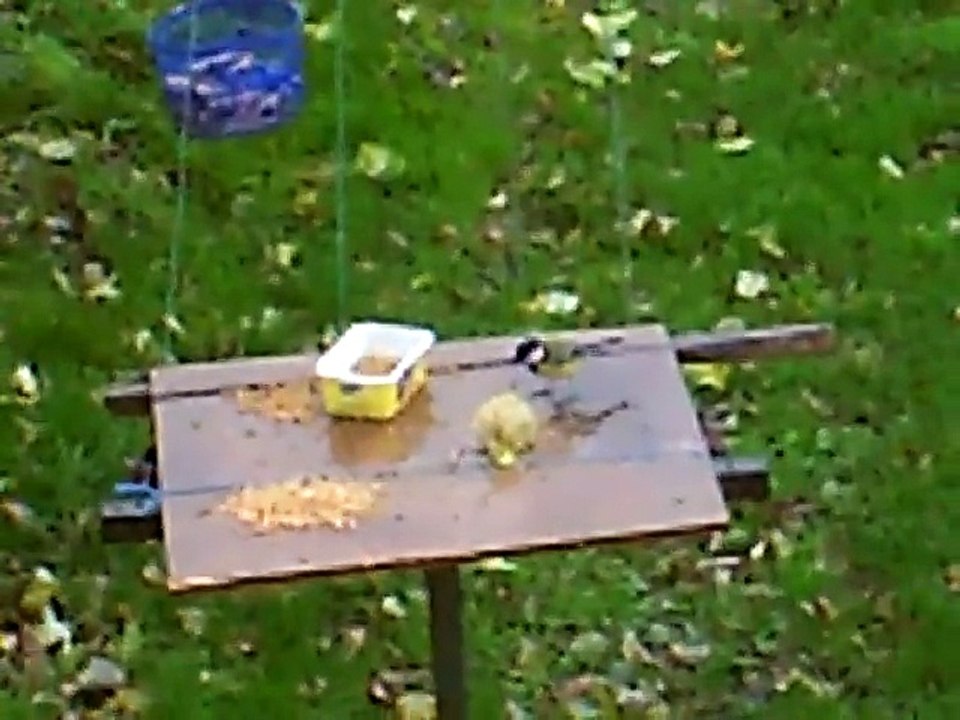 CLIP0114