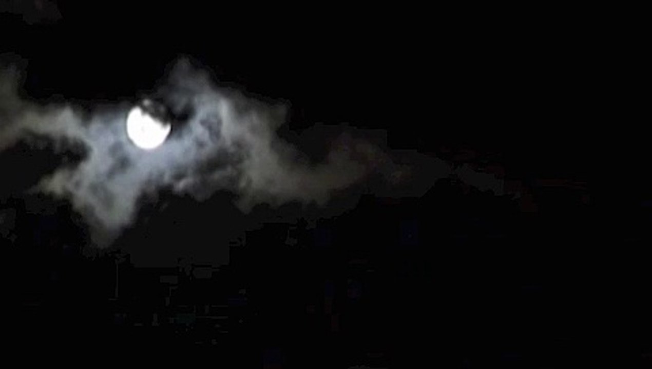 philippounet chante la nuit