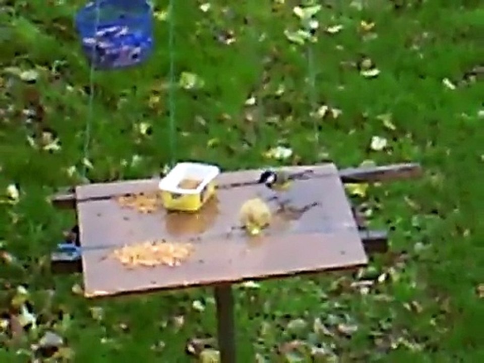 CLIP0114