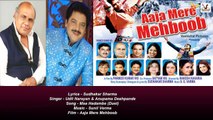 Sudhakar Sharma - Song - Maa Hadambe Duet - Singer - Udit Narayan & Anupama Deshpande