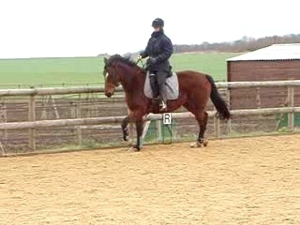 P2250256 - serpentines trot