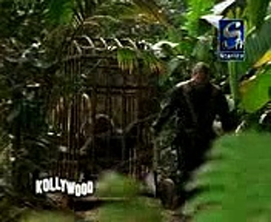 funny video of captured monkey