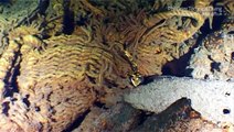 Diving the Wreck of the Empire Heritage of Malin Head