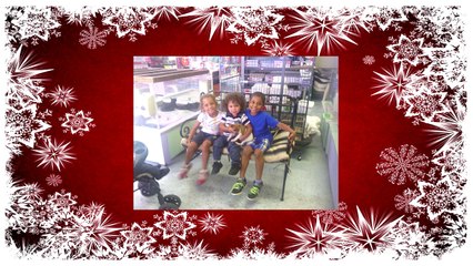 Puppies For Sale Richmond VA | Petopia | 866.738.7972