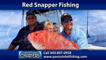 Red Snapper Fishing New Smyrna, FL | Ponce Inlet Fishing Charters