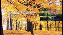Bilim Yolunda - 18 - Yaprak Dökümü
