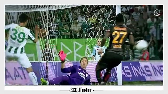 FERNANDO MUSLERA | Best Saves | Galatasaray | 2013/2014 (HD)