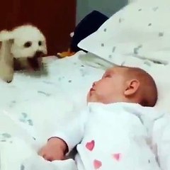 Cute puppy playing with baby, so cute!