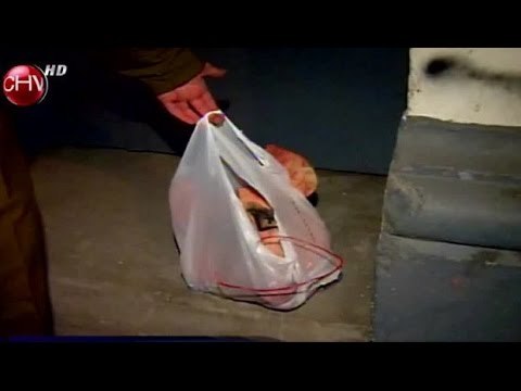 Falso aviso de bomba en local vegano resultó ser una cabeza de chancho - CHV Noticias