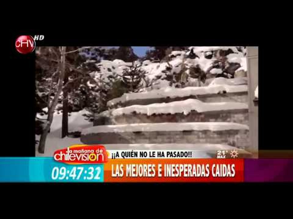 Mira los más tiernos chascarros que se han tomado la Web - MATINAL DE CHV 17/07