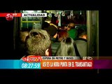 Mira el desquite de pasajeros estresados en el transporte público - Matinal de CHV