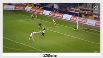 VALON BERISHA | Goals, Skills, Assists | Salzburg | 2012/2013 (HD)
