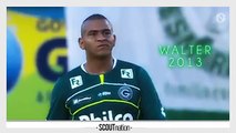 WALTER | Goals, Skills, Assists | Goiás | 2013 (HD)