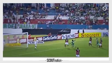 LEANDRO MOURA | Goals, Skills, Assists | Palmeiras | 2013 (HD)