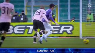 STEVAN JOVETIĆ | Goals, Skills, Assists | Fiorentina | 2012/2013 (HD)