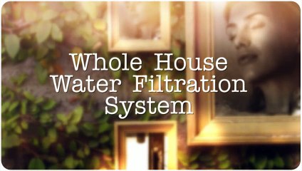 Whole House Water Filtration System