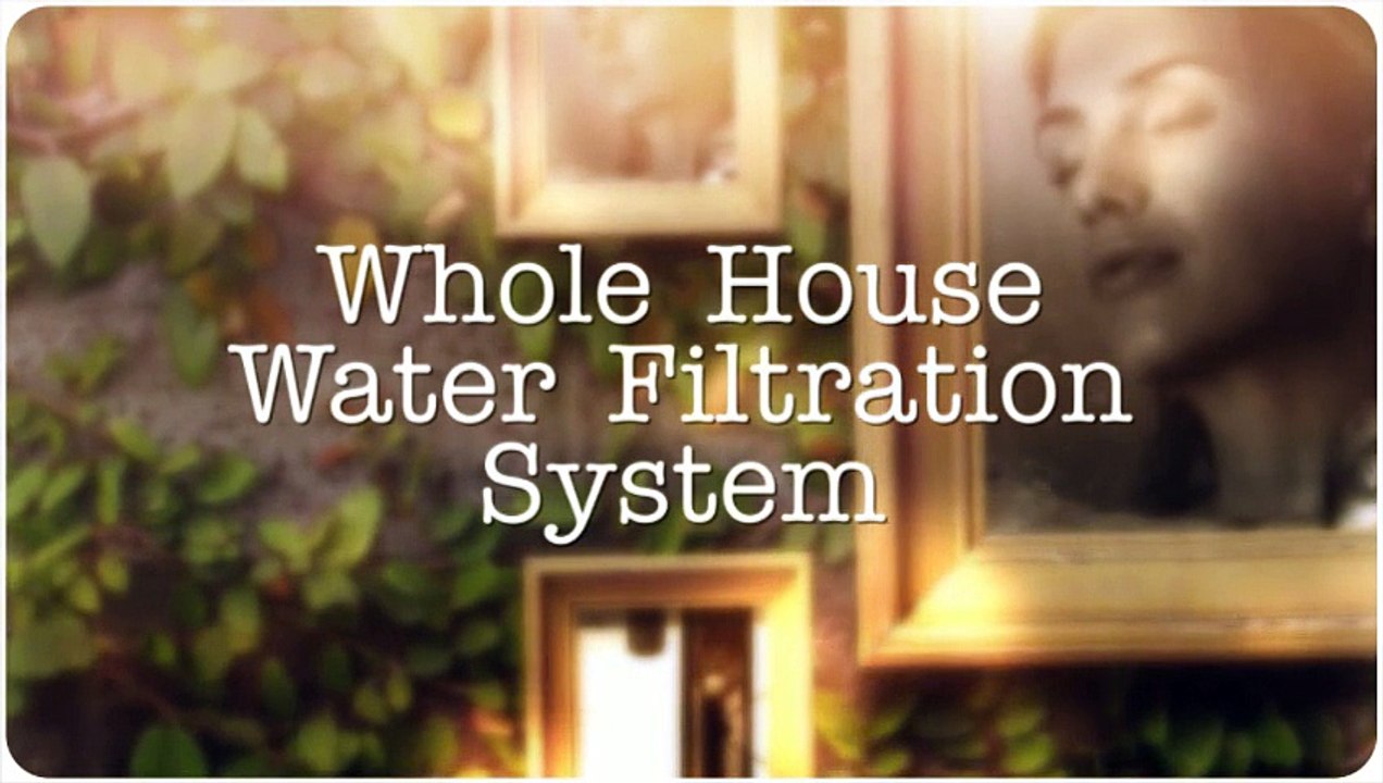 Whole House Water Filtration System