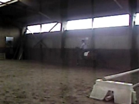 mon poney joker saut manège
