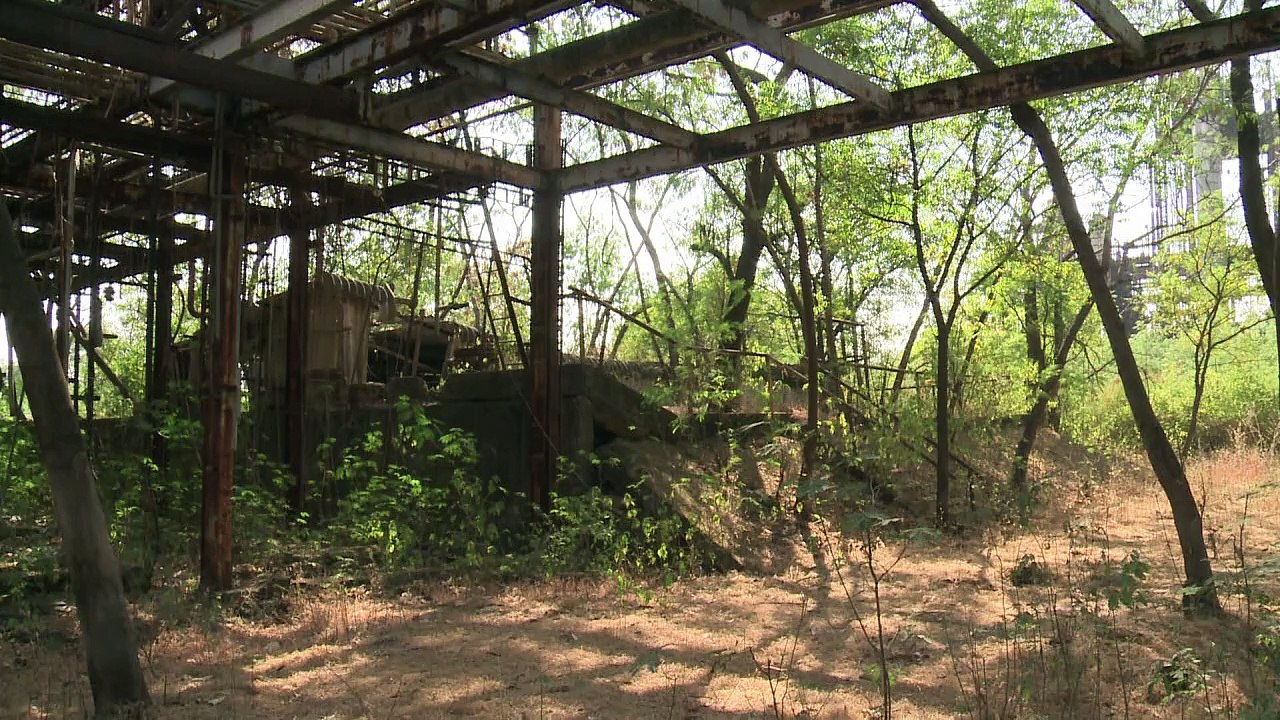 Chemieunfall von bhopal: das ungelinderte leid