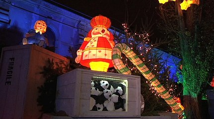 Reportage : Le sentier des lanternes