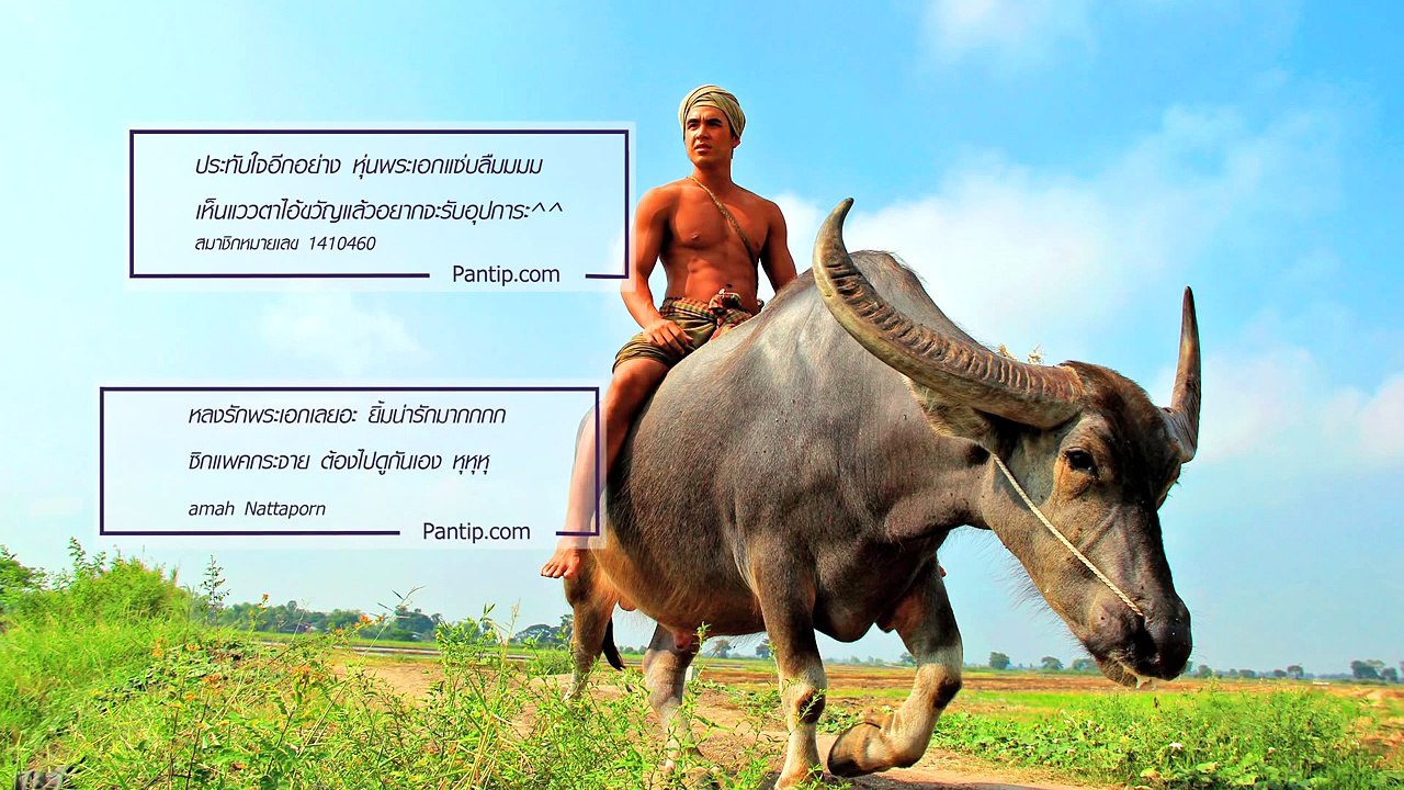 เพลง ลำนำแผลเก่า #แผลเก่า 2014