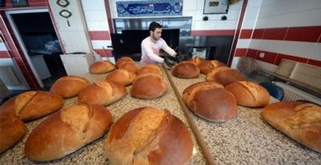 Her Gün 12 Milyon Emek İsraf Oluyor !