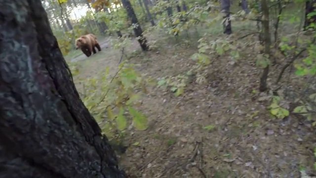 This GoPro ‘Bear Attack’ is crazy! Man is trying to run away from attacking Bear