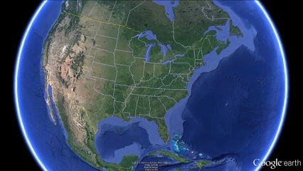 Nursing Cat Adopts Abandoned Puppy