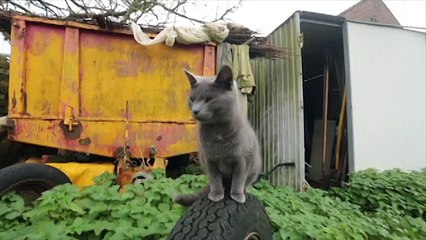 Etienne Tavernier, 52 ans, maraîcher bio