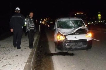 Başı Boş At, Kazaya Sebep Oldu