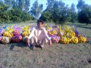 Teri Galiyan