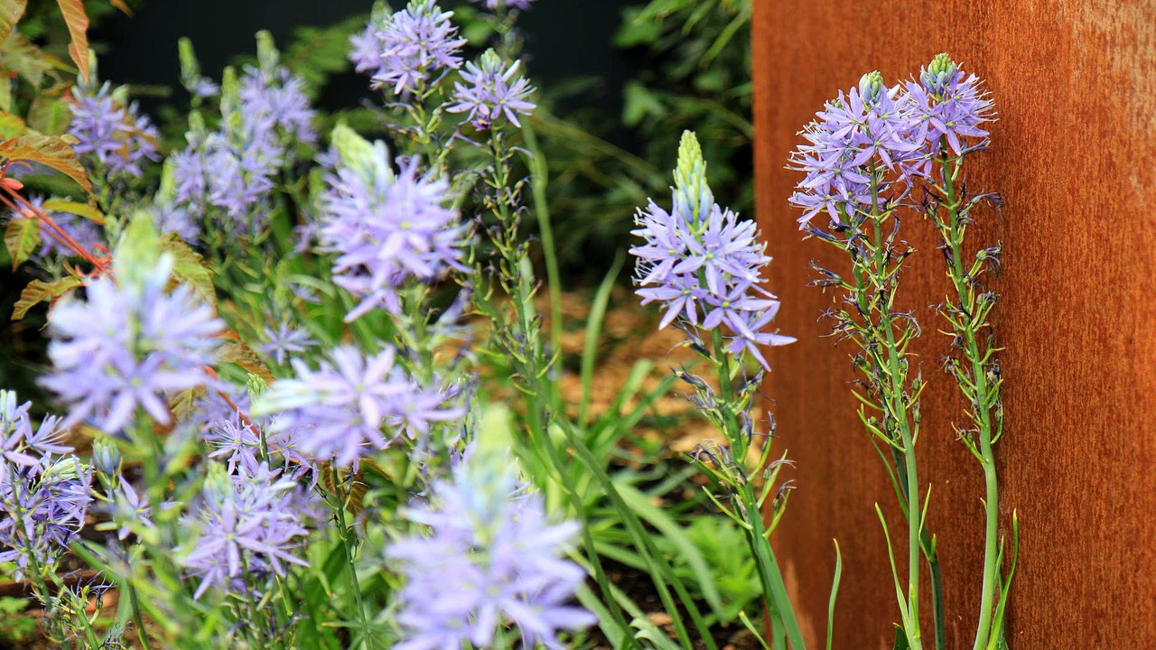 Maulavé Paysagiste Vidéo de présentation longue