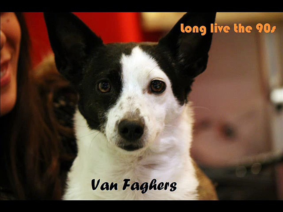 Van Faghers - Long Live the Nineties