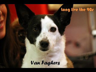Van Faghers - Long Live the Nineties