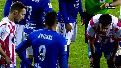 jornada 15 liga adelante 14/15 lugo 1-tenerife 0
