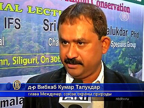 От властей Индии требуют защитить носорогов