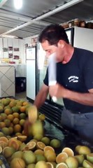 Dünyanın En Hızlı Limon Kesen Adamı