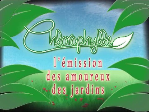 Chlorophylle épisode 113 sur Télé Doller