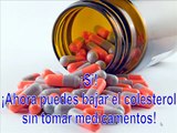 Milagro para el colesterol - Dieta para el colesterol - Colesterol hdl