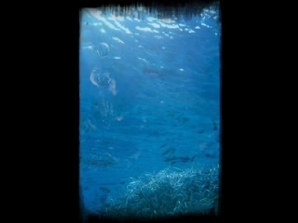 Elemento2 une goutte dans la mer...