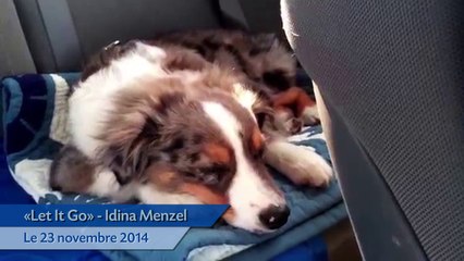 Un chien se réveille avec sa musique favorite