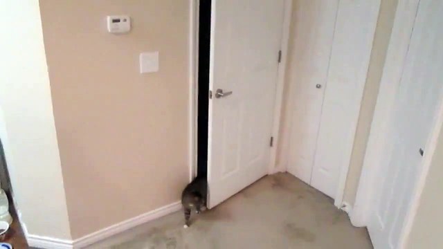 How creepy is this! - The Most Wanted Videos