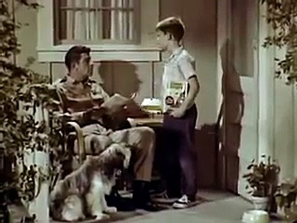 VINTAGE MID 1960s GAINES DOG FOOD AD ~ ANDY GRIFFITH & RON HOWARD LEARN THE CAPITOL OF MAINE