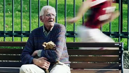 Teddy Bears Thrown Onto Ice